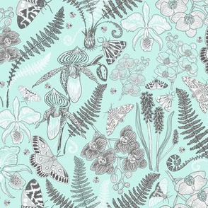 Orchid Botanical Study #021318 (grey on mint)