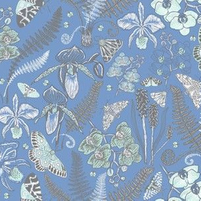 Orchid Botanical Study #021318 (mint-grey on serenity blue)