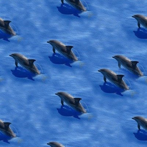 school of dolphins - painting effect
