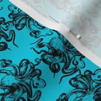 octopus_blue_black