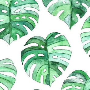 Heart Shaped Watercolor Monstera Leaves - green & white - large