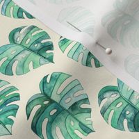 Heart Shaped Watercolor Monstera Leaves - green & cream - small