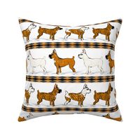 Assorted Boxer Dogs in Snow Stripe