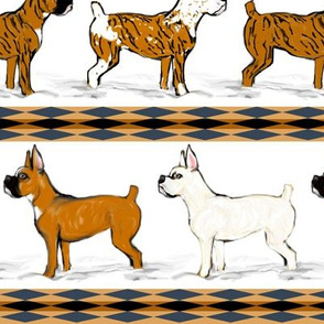 Assorted Boxer Dogs in Snow Stripe