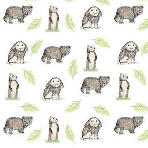 ANIMAL PATTERN