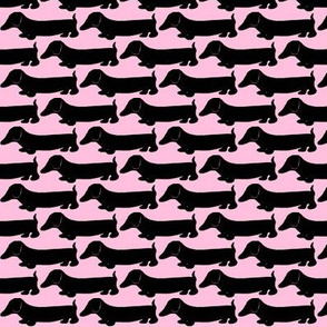 Dachshund 2 black &pink / Dog Print