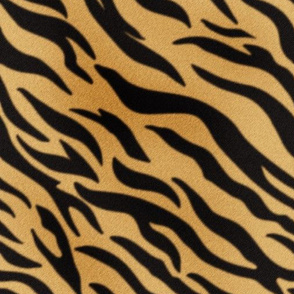 tiger leather