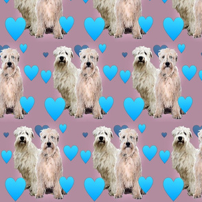 Wheaten Terriers and Hearts