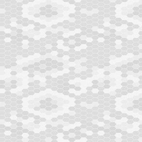 Snake skin texture white gray. Seamless pattern gray 