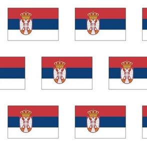 Serbian Flag // Large
