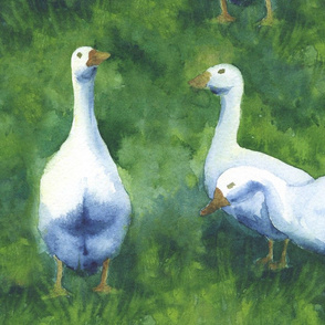 geese (large scale)