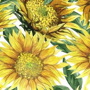 Sunflowers (large scale)