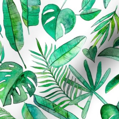 Emerald Tropical Leaf Scatter on White - large