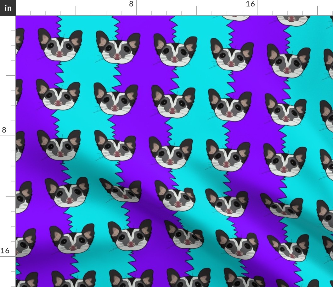 Black beauty sugar glider on blue and purple background