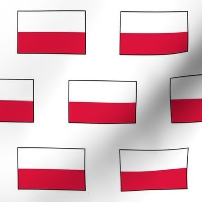 Polish Flag // Large