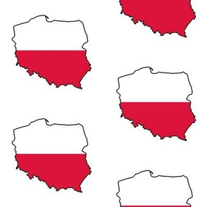 Polish Flag Overlay // Large