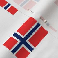 Norwegian Flag // Large
