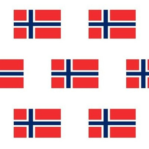 Norwegian Flag // Large