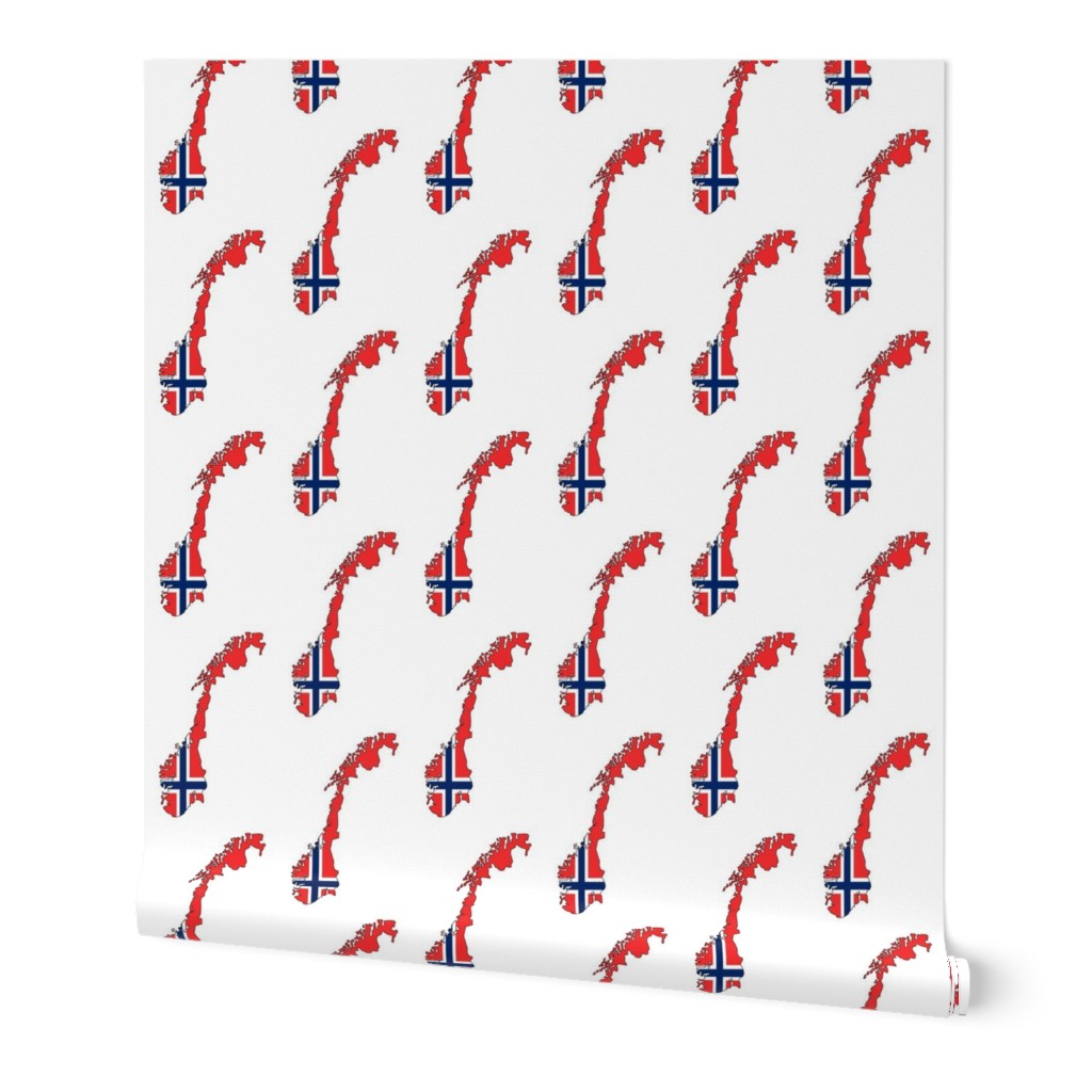 Norwegian Flag Overlay // Large