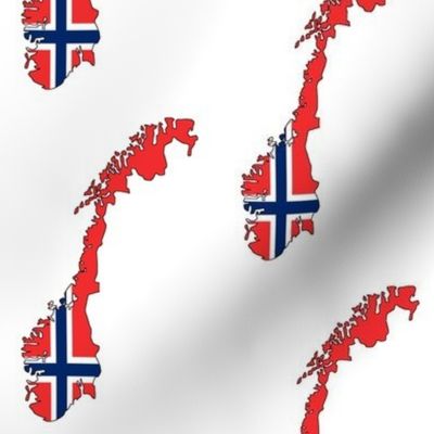 Norwegian Flag Overlay // Large