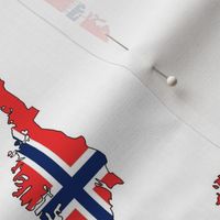 Norwegian Flag Overlay // Large