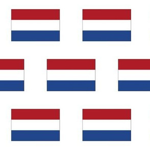 Netherlands Flag // Large