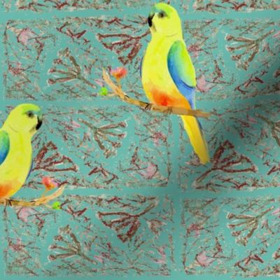 Orange-bellied Parrot-Eucalypt blue