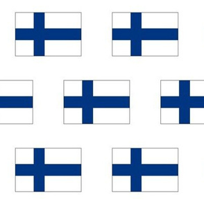 Finnish Flag // Large