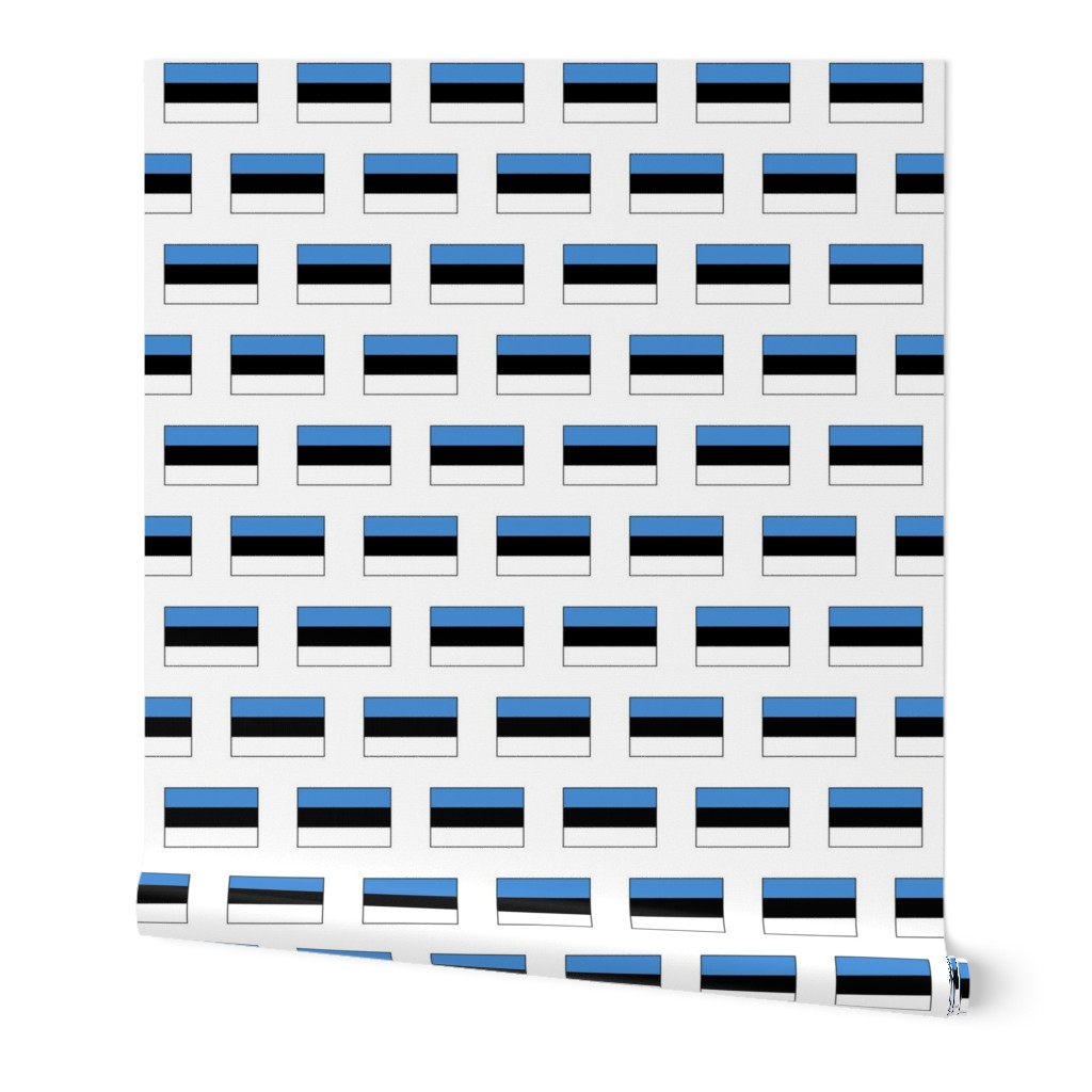 Estonian Flag // Large