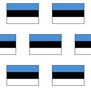 Estonian Flag // Large