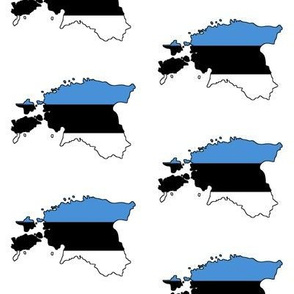 Estonian Flag Overlay // Large