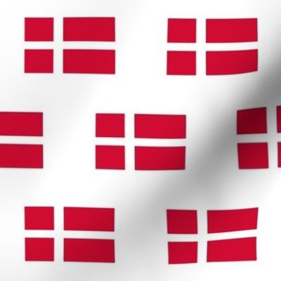 Danish Flag // Large