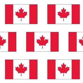 Canadian Flag // Large
