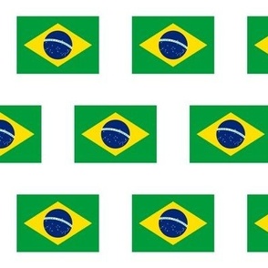 Brazilian Flag // Large