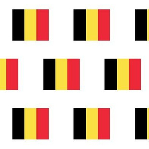 Belgian Flag // Large
