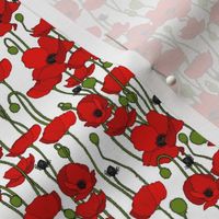 Poppy field - white - small