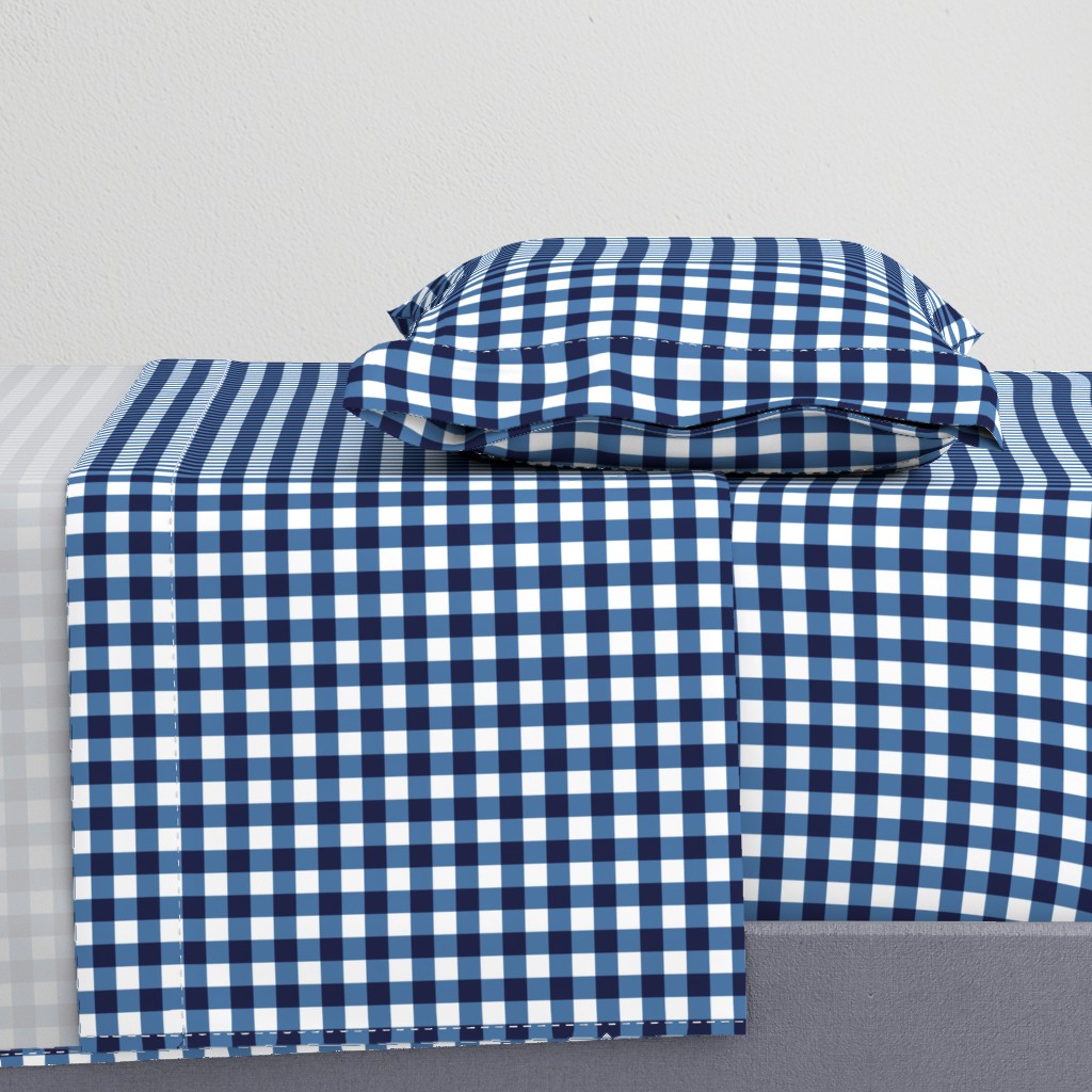 gingham blue and white, small