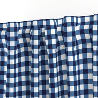 gingham blue and white, small