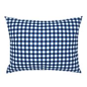 gingham blue and white, small