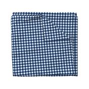 gingham blue and white, small