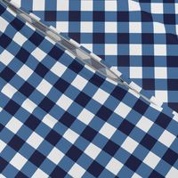 gingham blue and white, small