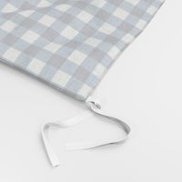 gingham blue and white, small