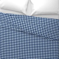 gingham blue and white, small