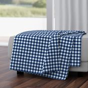 gingham blue and white, small