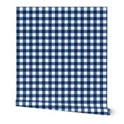 gingham blue and white, small