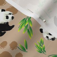 Panda in the Forest