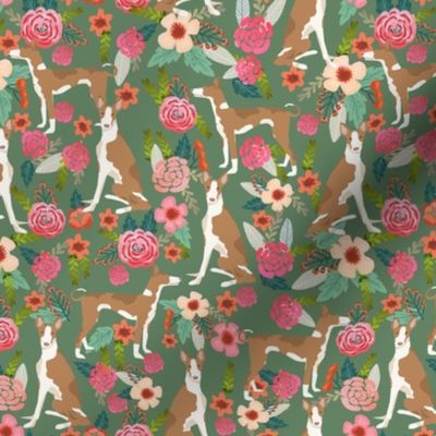 ibizan hound floral pure breed dog fabric green