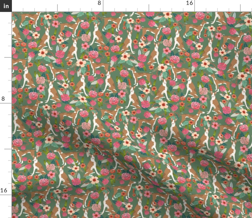 ibizan hound floral pure breed dog fabric green