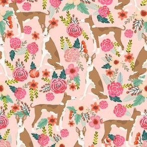 ibizan hound floral pure breed dog fabric pink