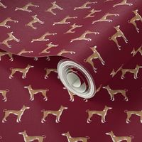 ibizan hound standing pure breed dog fabric ruby